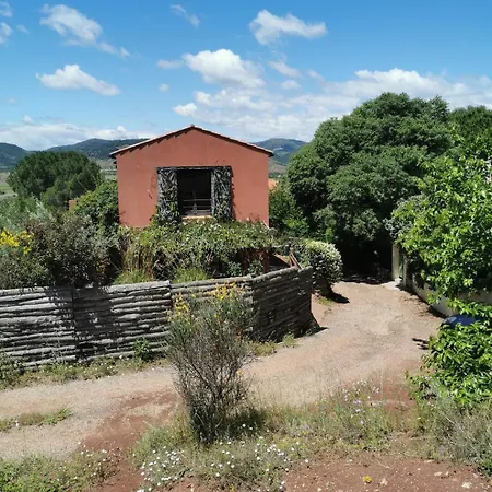 Duplex Orange Oasis 乡村民宿 *