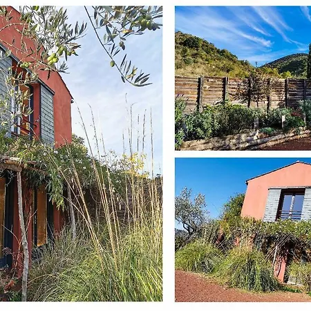 Duplex Orange Oasis